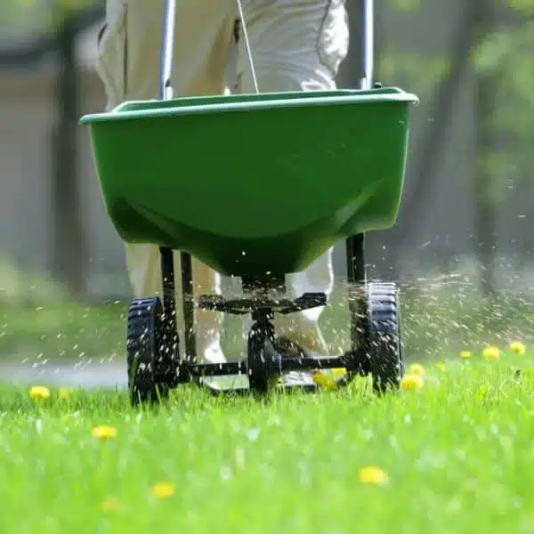 Fertilize