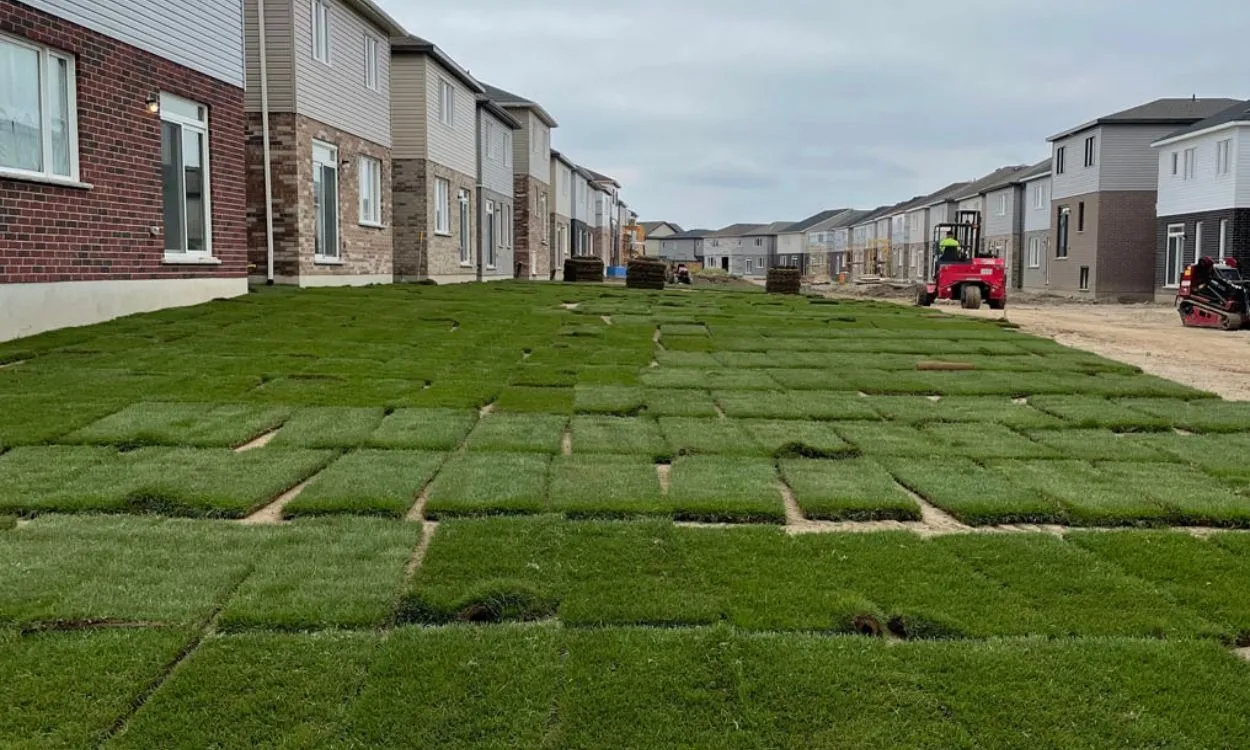 Freshly dropped rolls and square pallets of commercial sod laid out for a massive turf installation across a newly constructed townhouse development phase in Hamilton.