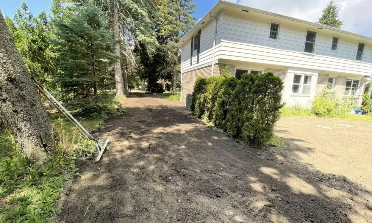 A residential yard in Hamilton showing freshly raked and graded dark soil alongside a house and large trees, prepared for upcoming lawn fertilization and new turf installation.
