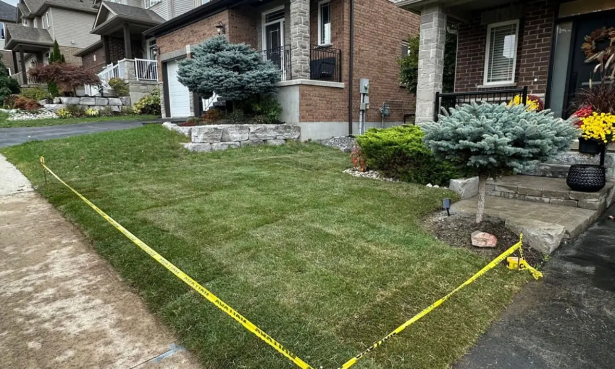 A freshly installed green sod lawn surrounded by yellow caution tape in the front yard of a brick residential home, showcasing a completed lawn resodding project in Hamilton.