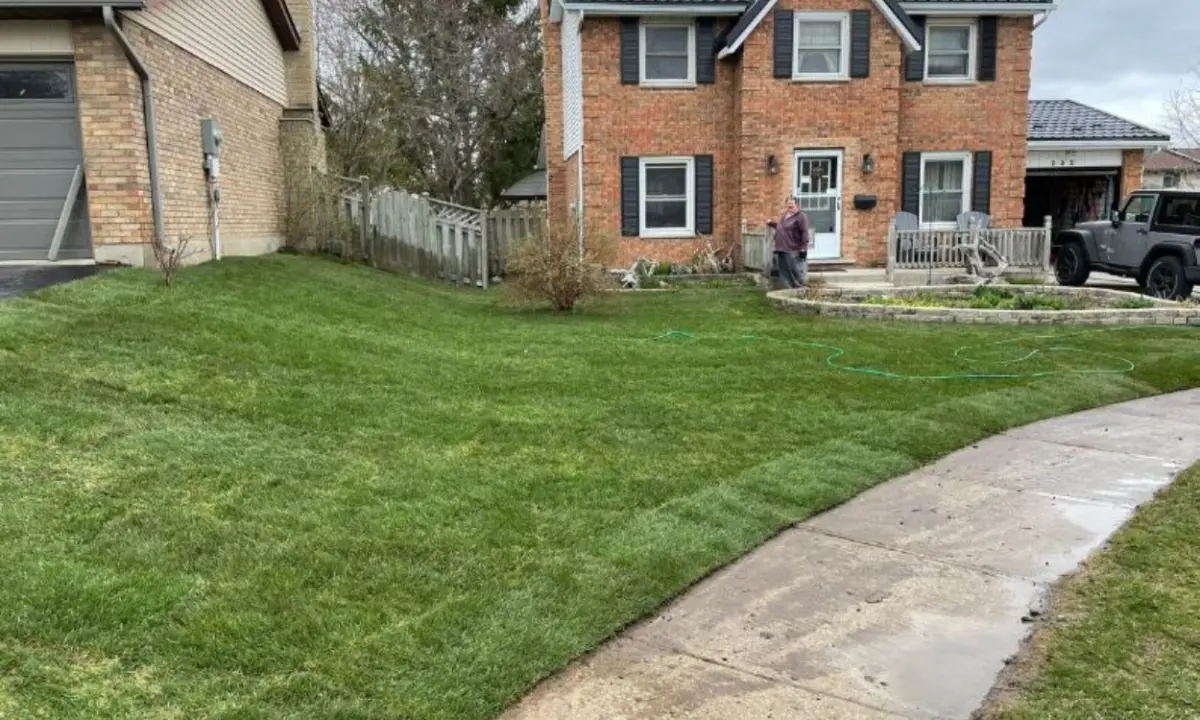 A newly completed lawn resurfacing project featuring fresh green sod in the front yard of a two-story brick residential home in Hamilton, with a green watering hose laid across the grass.